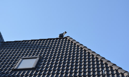 Steildach mit Betondachsteinen und Dachflächenfenster